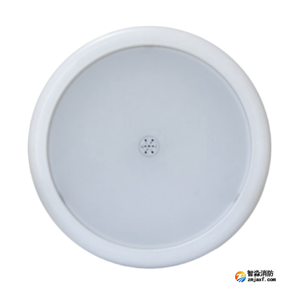天津海湾HW-ZFJC-E18W-N655SG集电集控型消防应急照明灯具